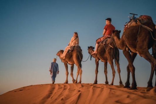 Desert Exursions